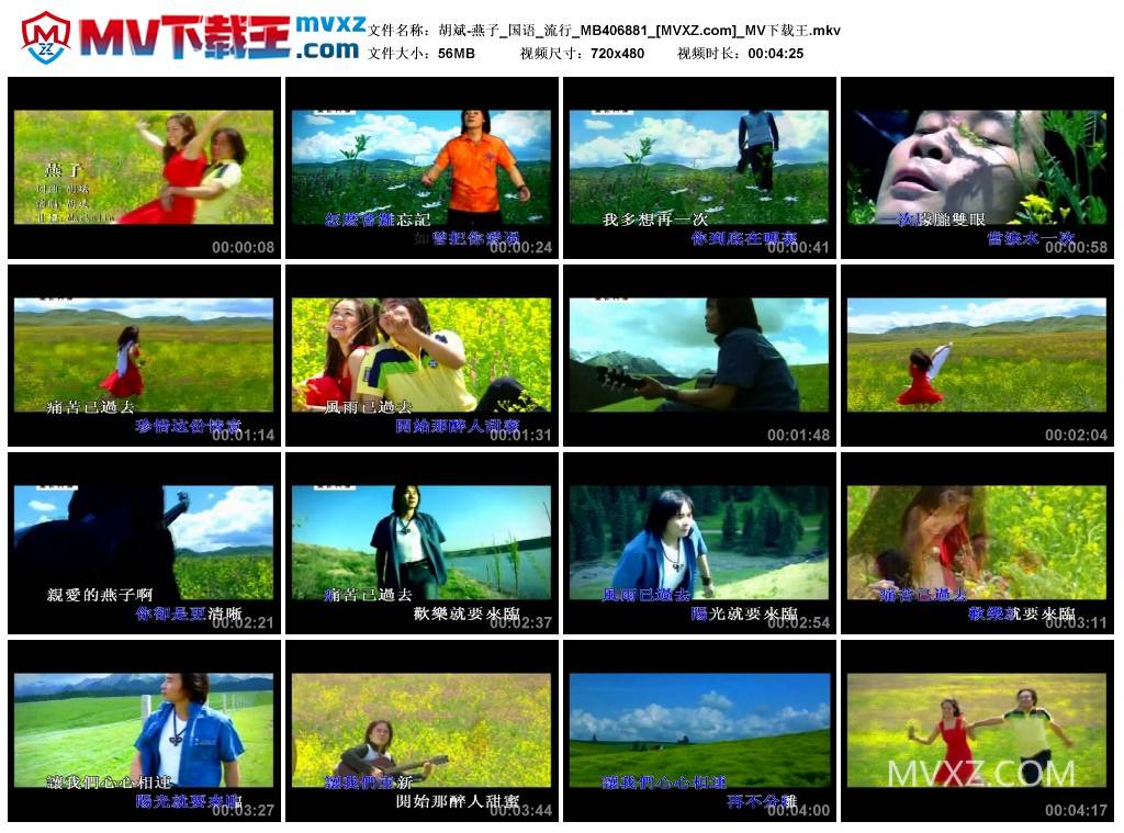 胡斌-燕子_国语_流行_MB406881